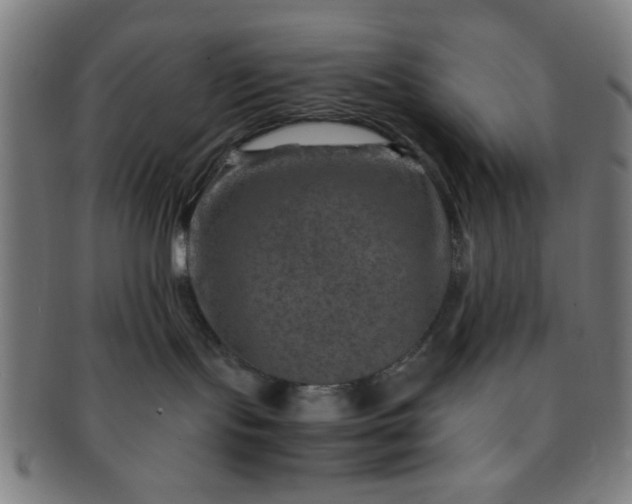 X0000091360095200708241320