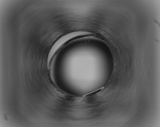 X0000091360096200708241320
