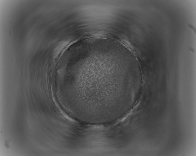 X0000091360097200708241319