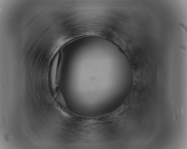 X0000091360098200708241319