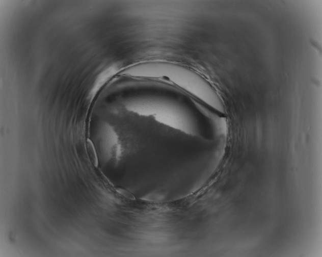 X0000091360099200708241319