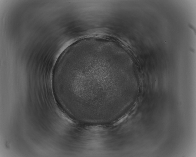 X0000091360100200708241319