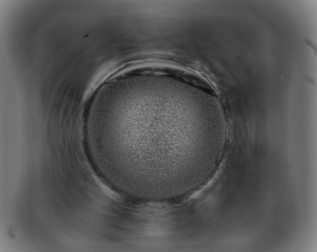 X0000091360101200708241319