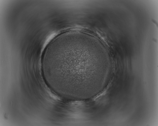 X0000091360102200708241319