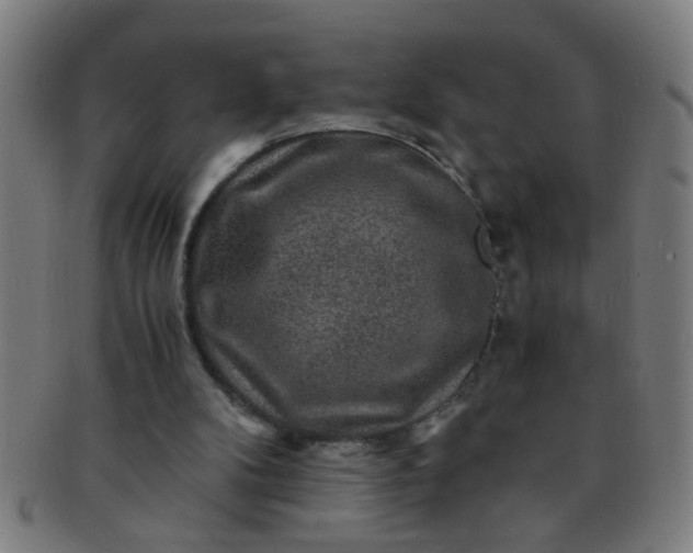 X0000091360104200708241319