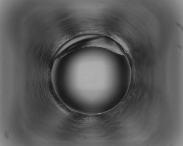 X0000091360105200708241319
