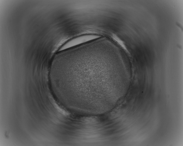 X0000091360106200708241319