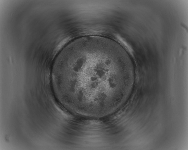 X0000091360107200708241319