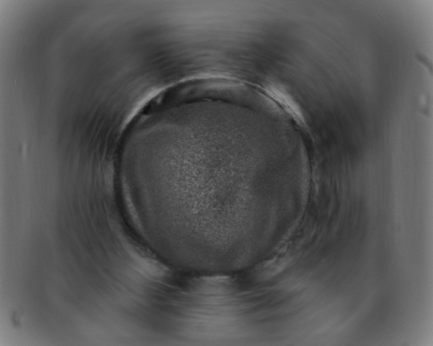 X0000091360108200708241319