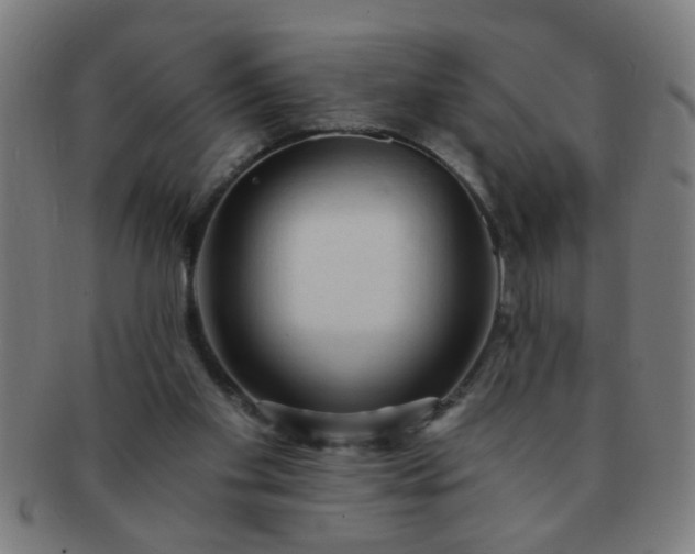 X0000091360109200708241319