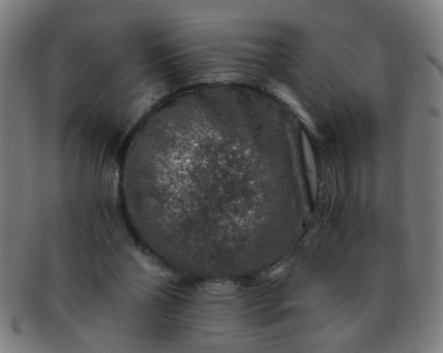 X0000091360110200708241319