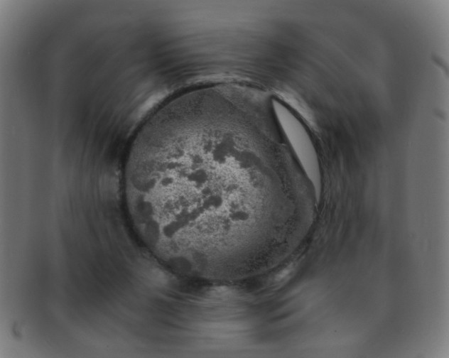 X0000091360111200708241319