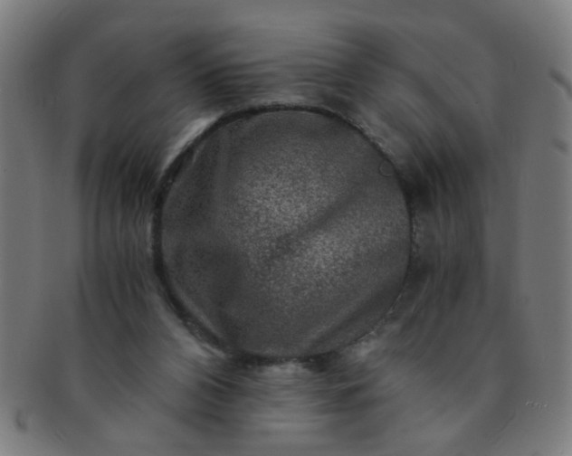 X0000091360112200708241319
