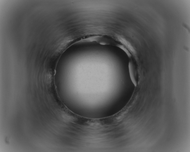 X0000091360113200708241319