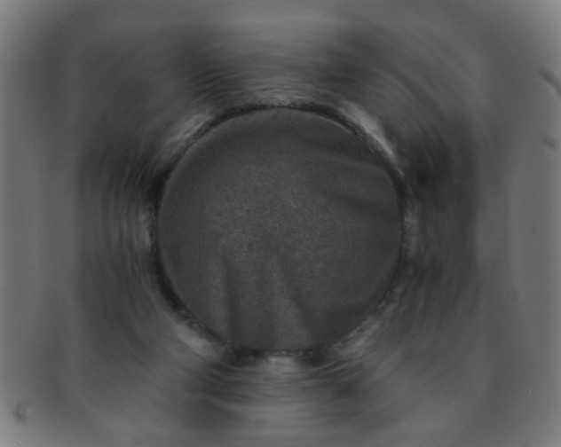 X0000091360114200708241319