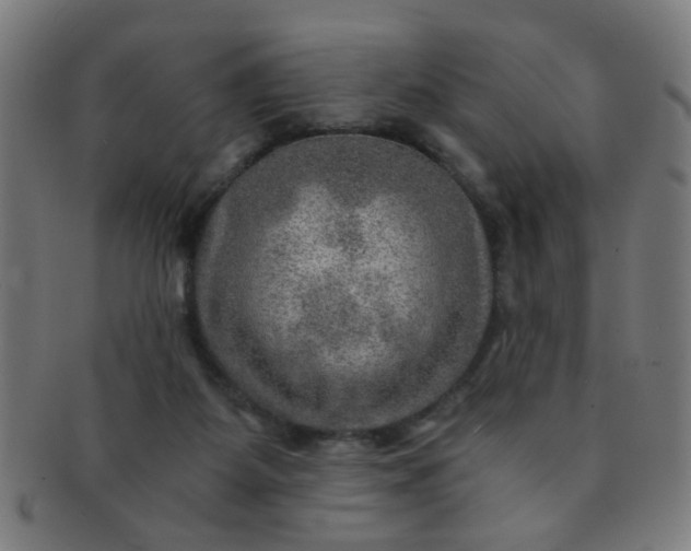 X0000091360115200708241319