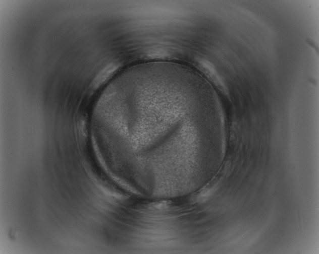 X0000091360116200708241319