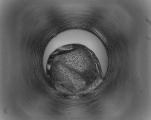 X0000091360117200708241319