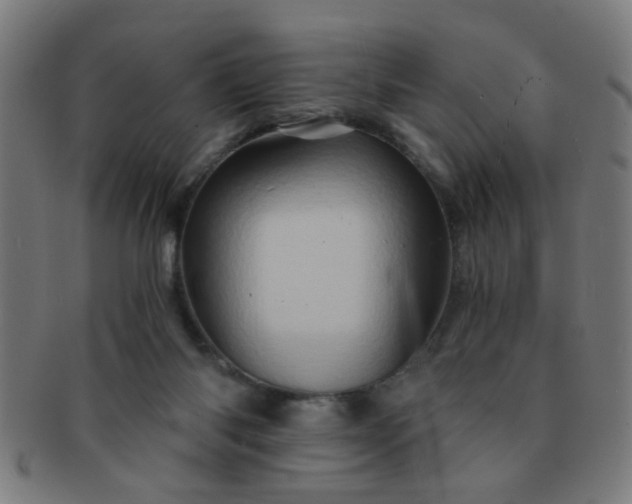 X0000091360118200708241319