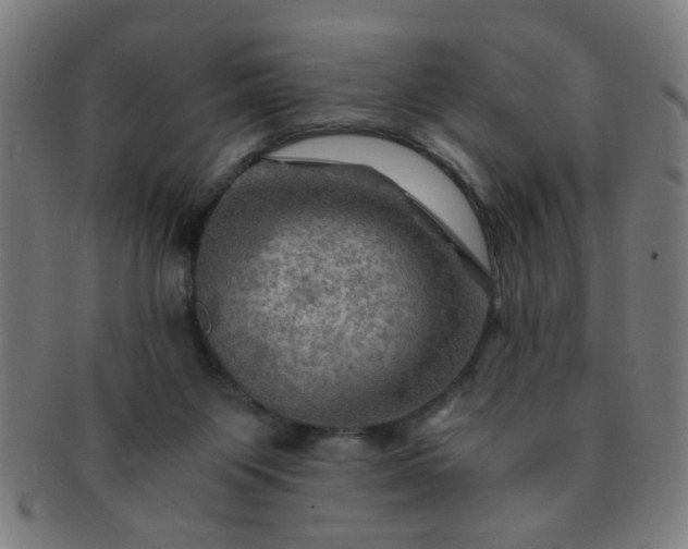 X0000091360119200708241319