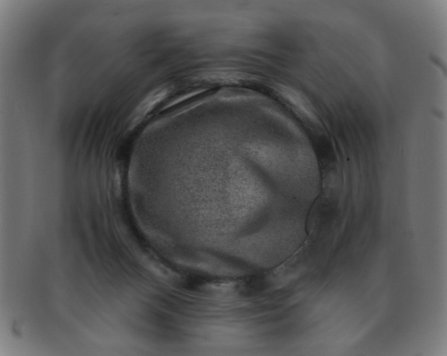 X0000091360120200708241319
