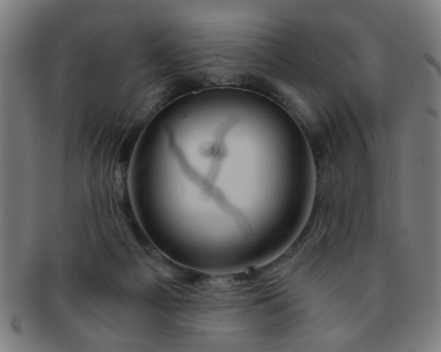 X0000091360121200708241319