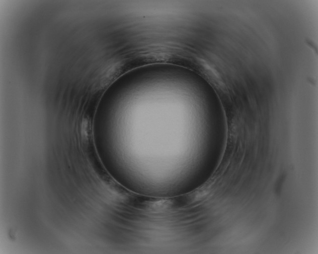 X0000091360122200708241319