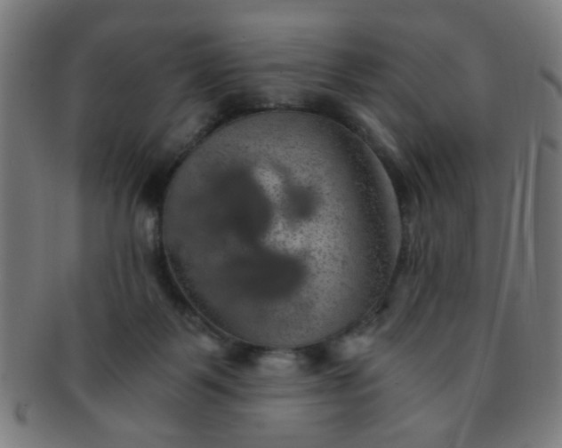 X0000091360123200708241319