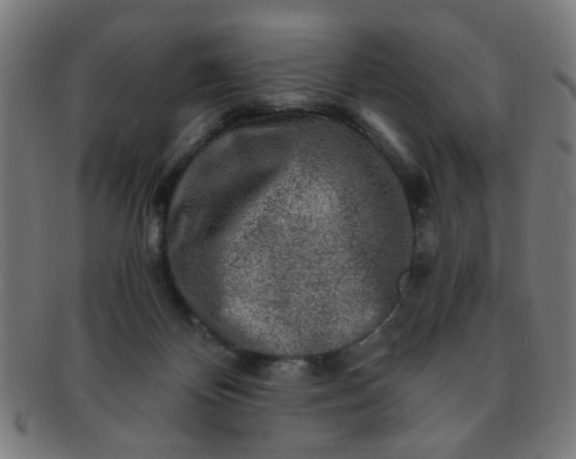 X0000091360124200708241319