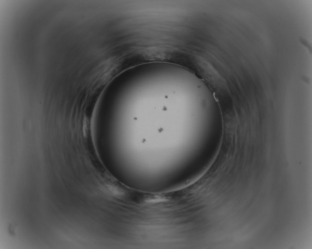 X0000091360125200708241319