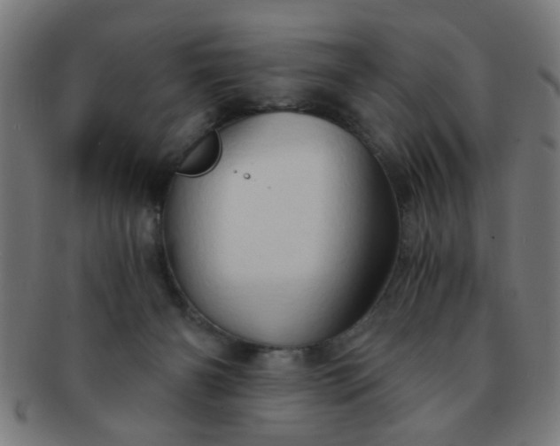 X0000091360126200708241319