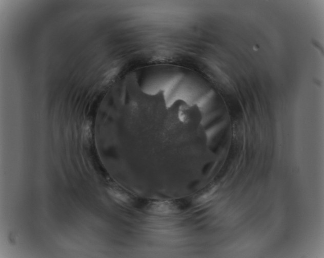 X0000091360127200708241319