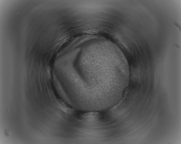 X0000091360128200708241319