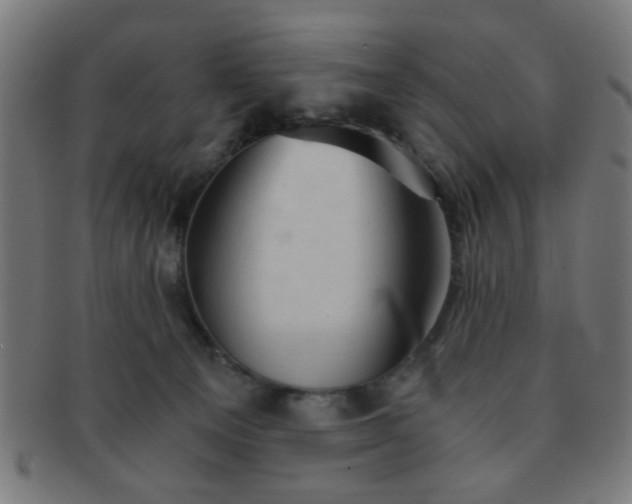 X0000091360129200708241319
