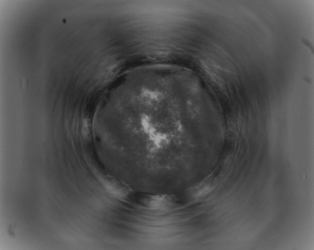 X0000091360130200708241319