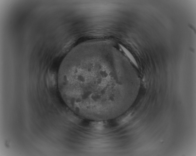 X0000091360131200708241319