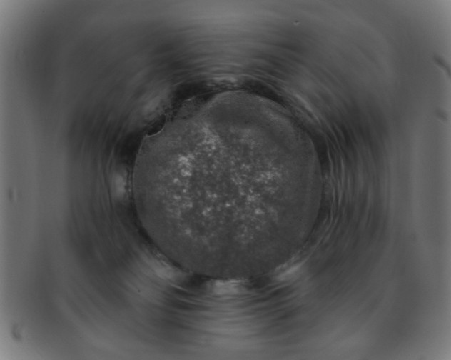 X0000091360134200708241319