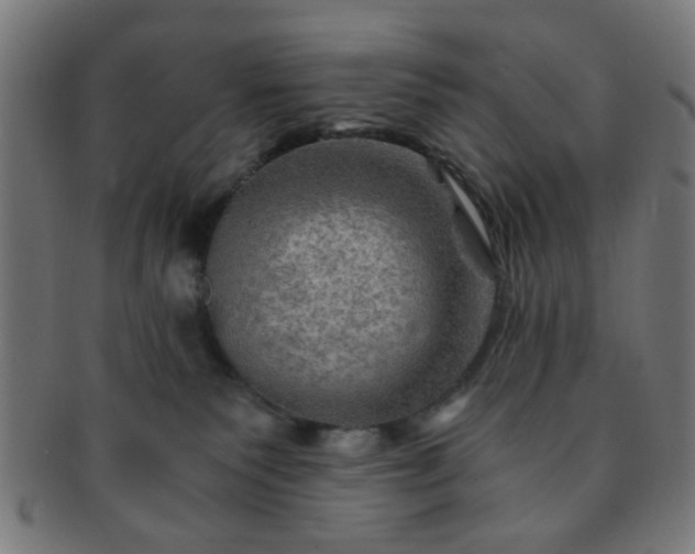 X0000091360135200708241319