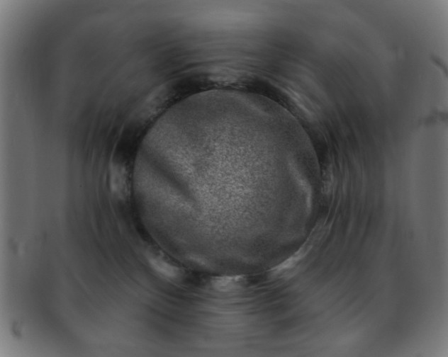 X0000091360136200708241319