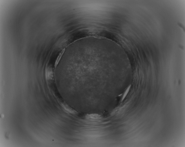 X0000091360137200708241319