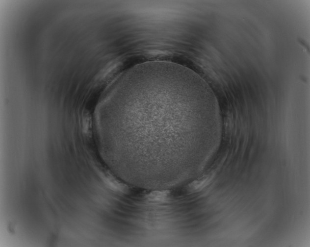 X0000091360138200708241319