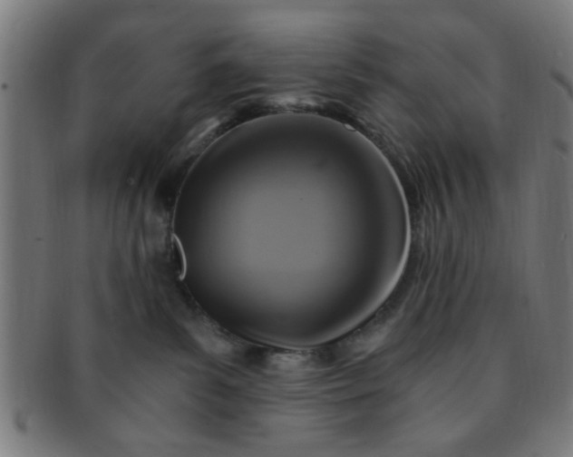 X0000091360139200708241319