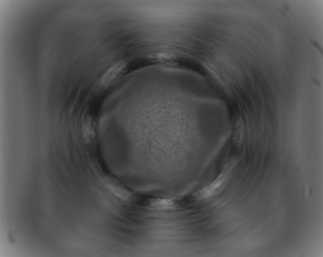 X0000091360140200708241318