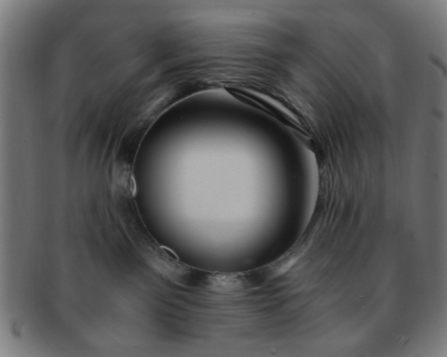 X0000091360141200708241318