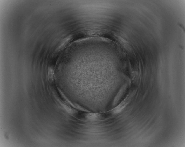 X0000091360142200708241318