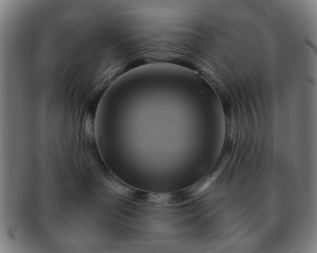 X0000091360143200708241318