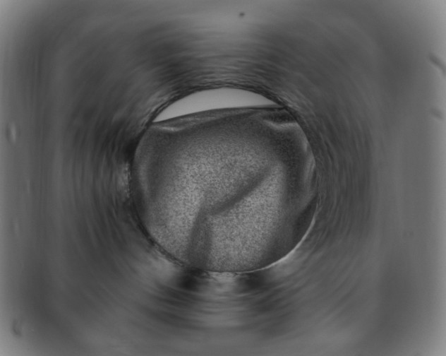 X0000091360144200708241318