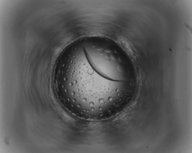 X0000091360145200708241318