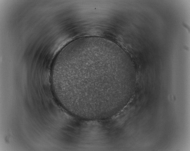 X0000091360146200708241318