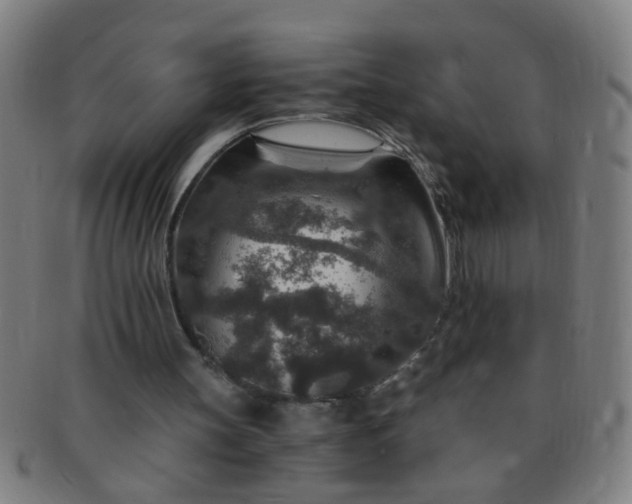 X0000091360147200708241318